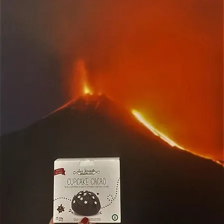 מלון Portum